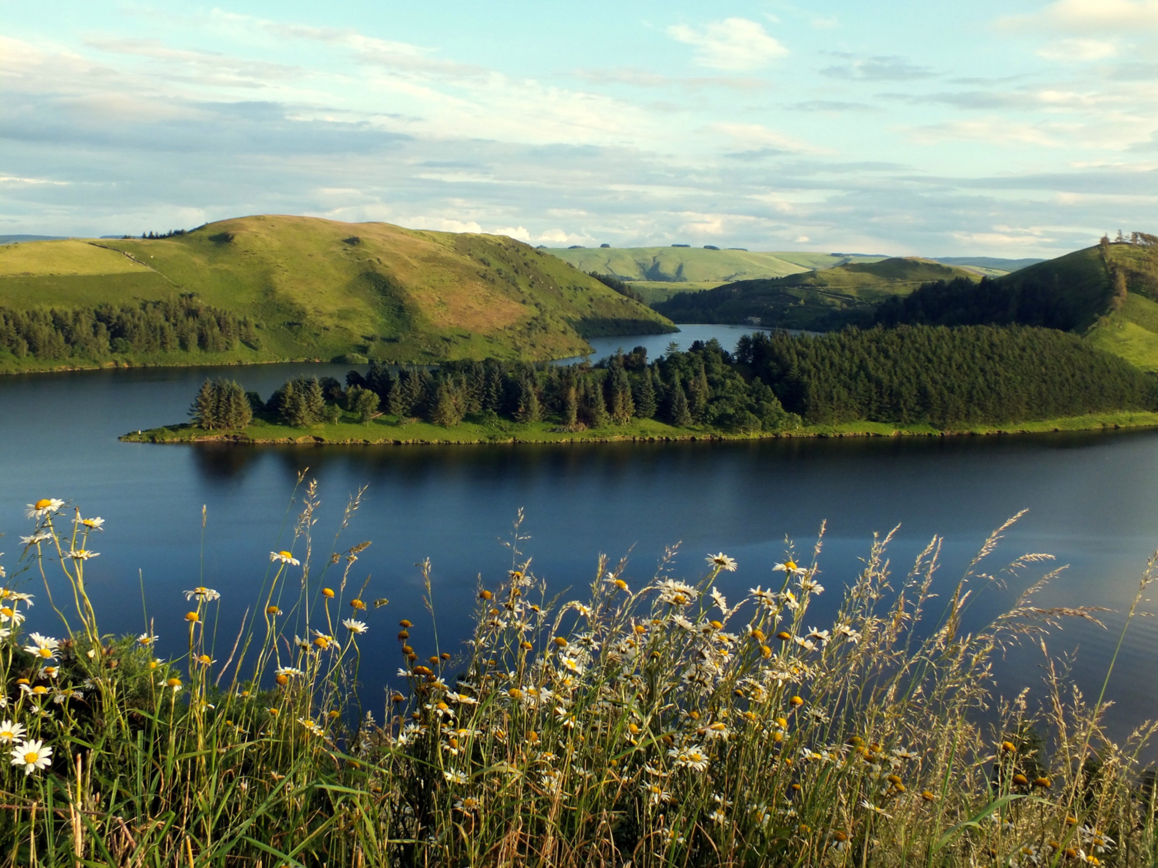 CLYWEDOG DASIES Bill Bagley Photography